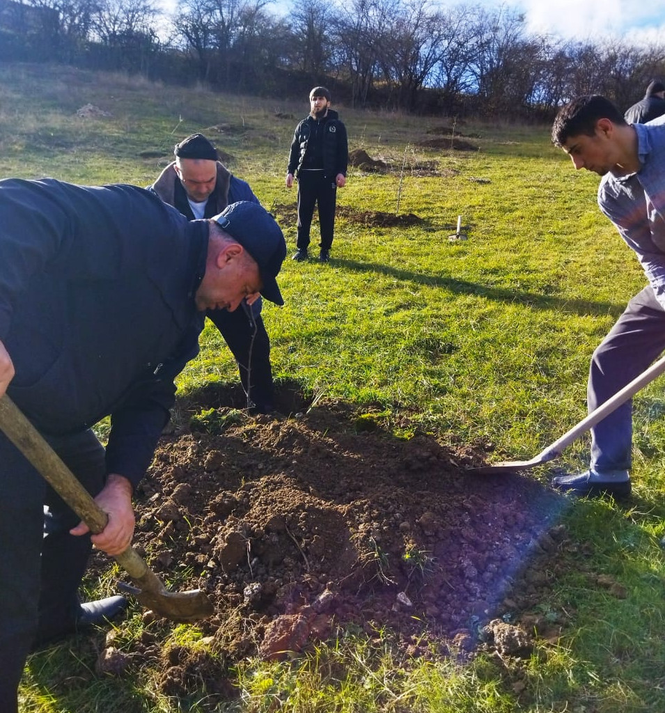 Работники Управления социальной защиты населения Табасаранского района приняли участие в акции «Сад памяти»